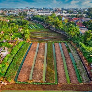 murah-vs-bergaransi-tips-pilih-jasa-6998788 Murah vs Bergaransi: Tips Pilih Jasa Kuras Tandon Air Area Solo
